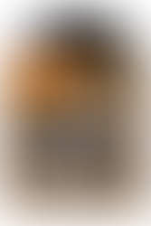 Próxima parada: sua memória.