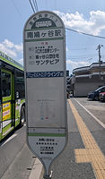 PXL_20260411_041221946.jpg