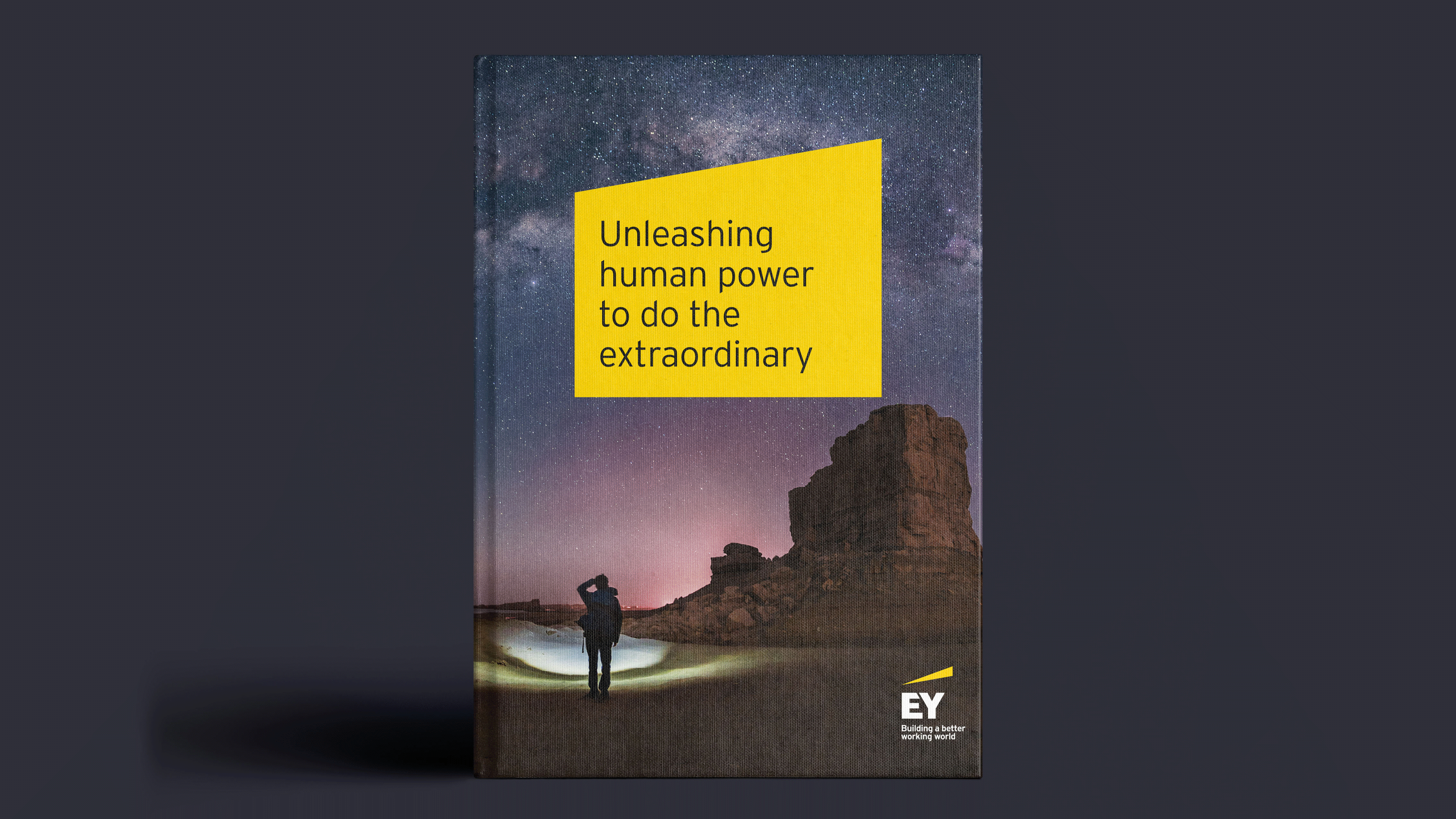 EY-book-gif-.gif