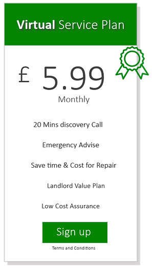 Virtual Service Plan