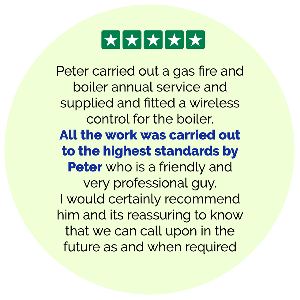 TrustPilot Review