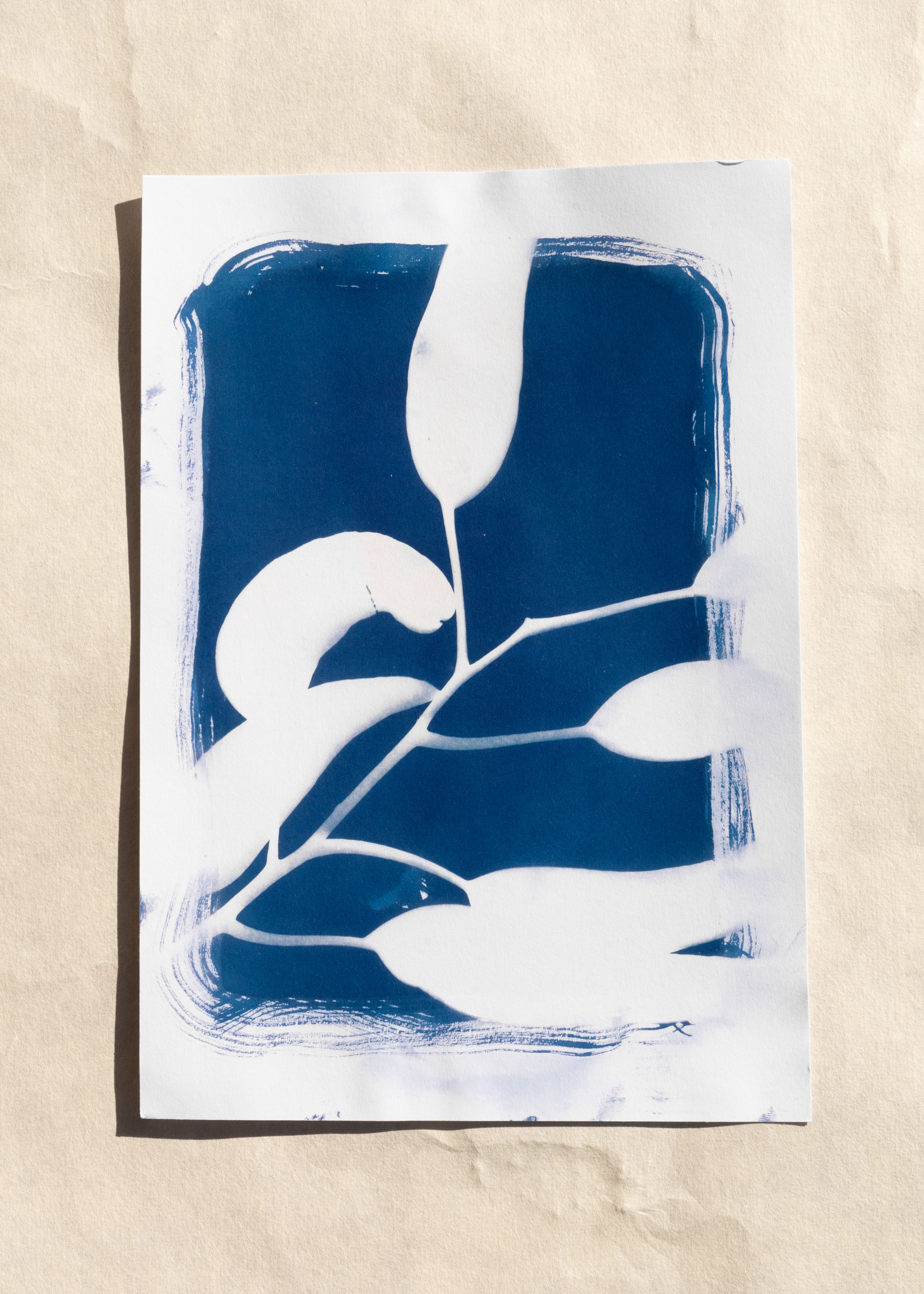 Blooming Spring Cyanotype