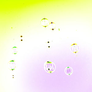 Project: Inverted Species