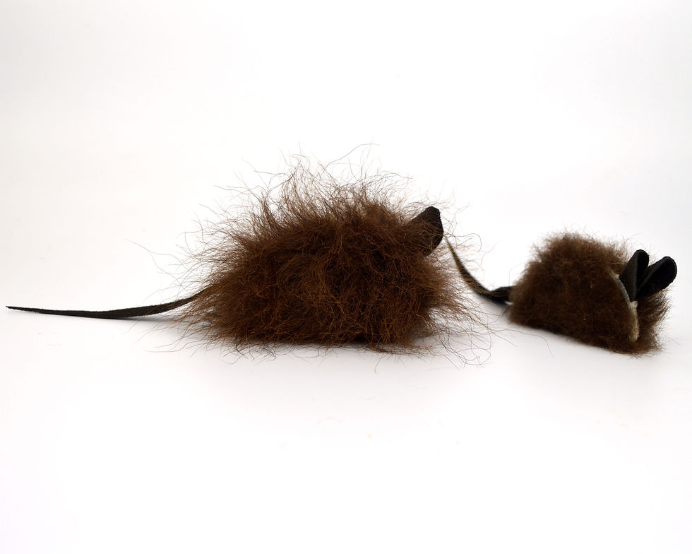 Thumbnail: The Original Buffalo Fur Mini Mouse | The Toy That Started It All!