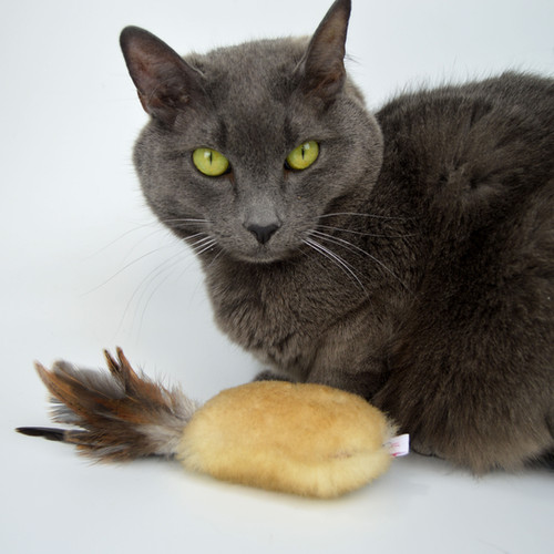 Feather and Fur Cat Fetch Toy | theecstaticcat