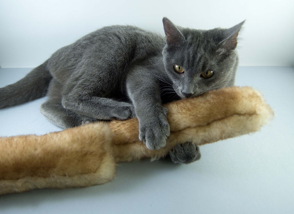 Thumbnail: cat kicker toy with silvervine