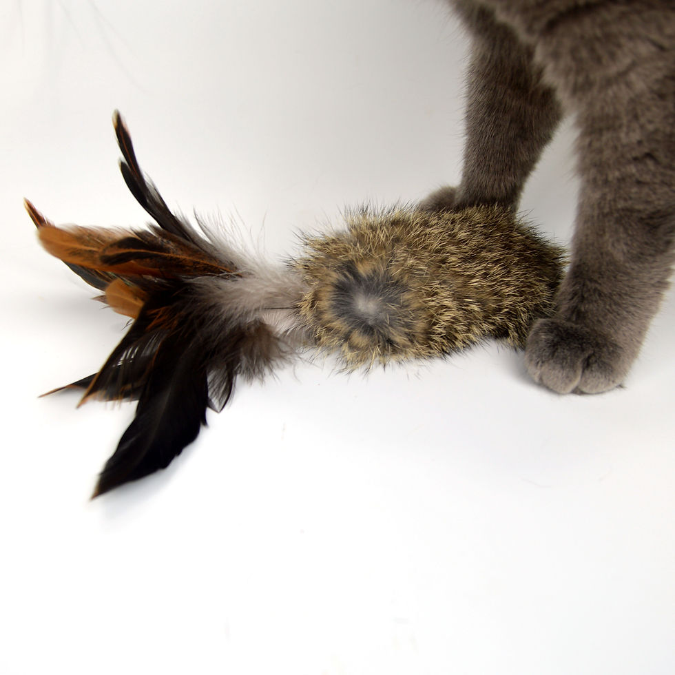 Thumbnail: rabbit fur and feather cat toy