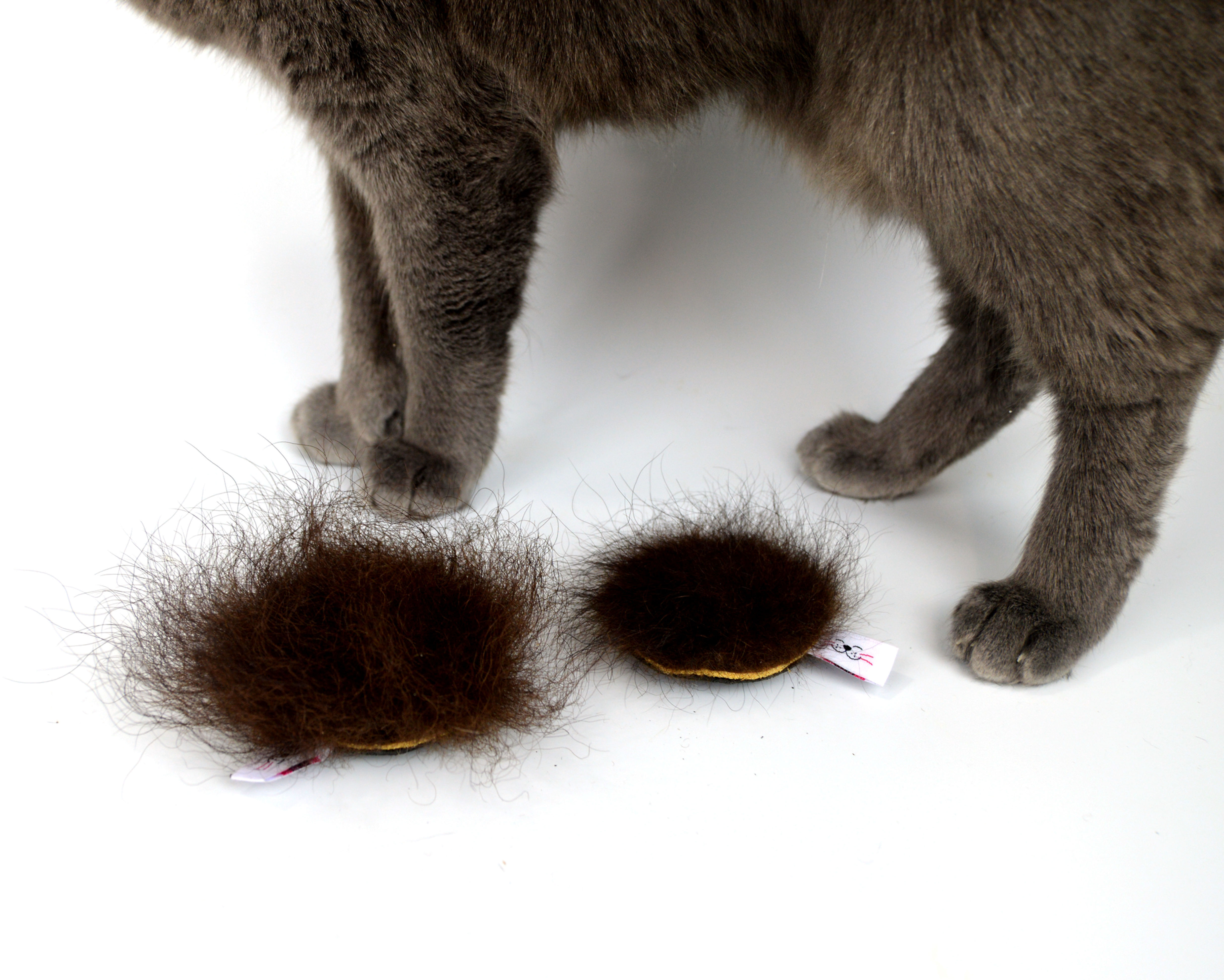 real buffalo fur cat toy, Flingin' Biscuit