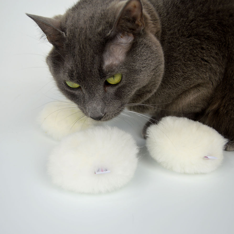 Thumbnail: Bat Around Biscuit: Natural Sheepskin Catnip & Rattle Toy