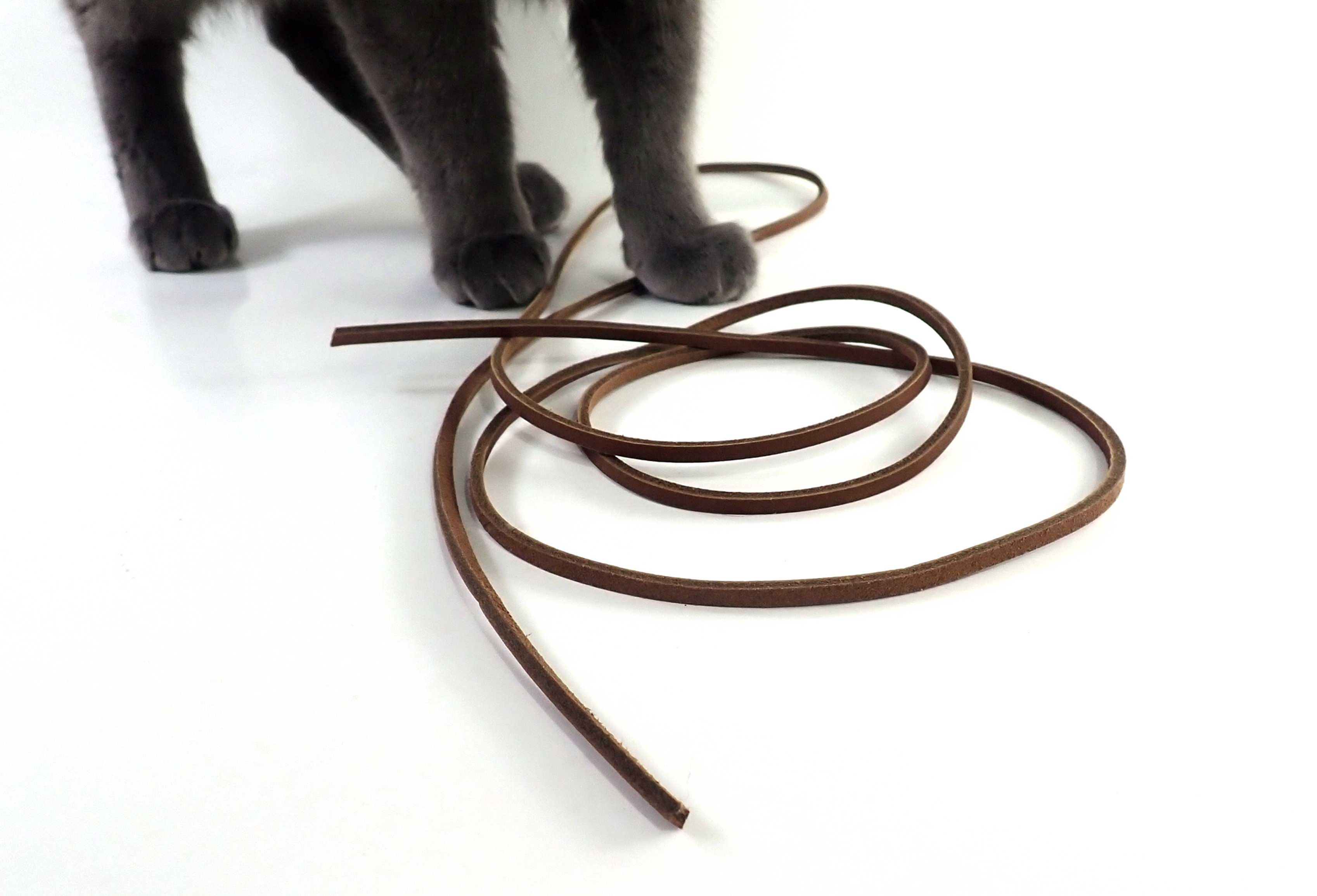 Leather String Cat Toy – Interactive & Simple Chase Fun