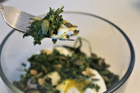 Flu Killing Garlic Eggs