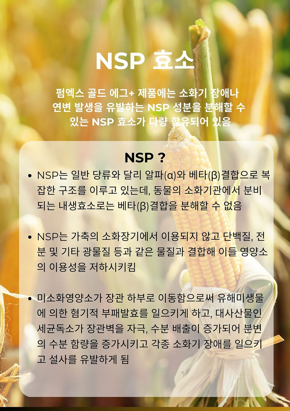 섬네일: 펌엑스 골드 (에그)+, 10Kg