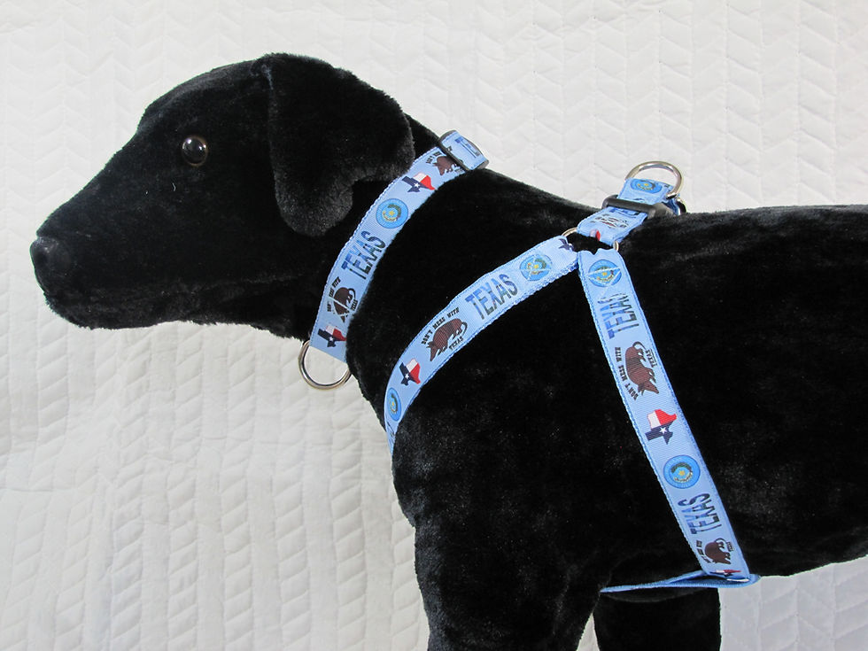 Thumbnail: Don't Mess with Texas