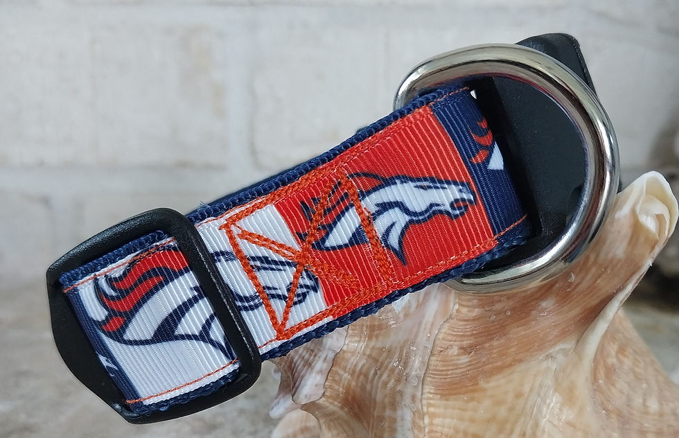 Thumbnail: Denver Football