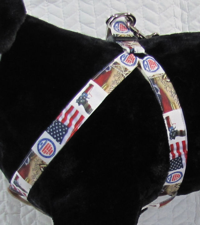 Thumbnail: Second Amendment