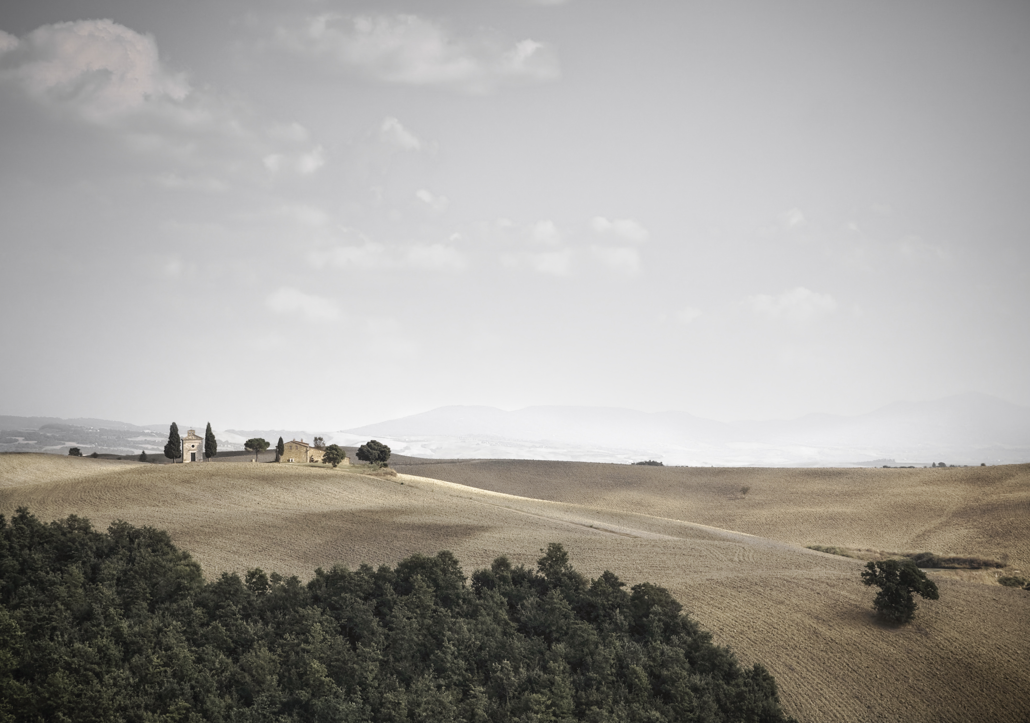 An Inside Look at Land Judging Team | Minarets Press | O'Neals, CA | Home Page