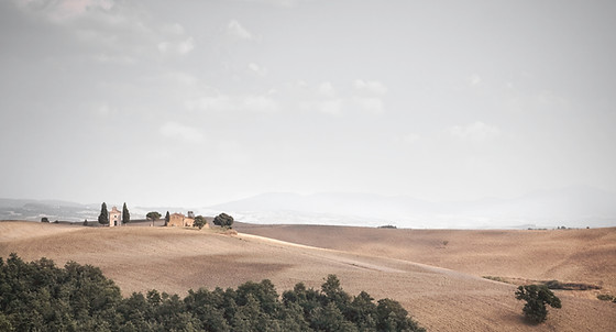 Open Field