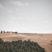 Open Field