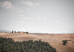 Open Field