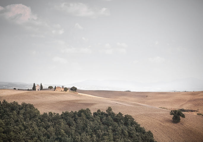 Open Field