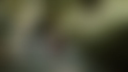 Can You Be Evicted if You Can’t Pay Rent on ODSP? Your Legal Options Explained