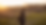 3C8A3459_edited_edited_edited.png
