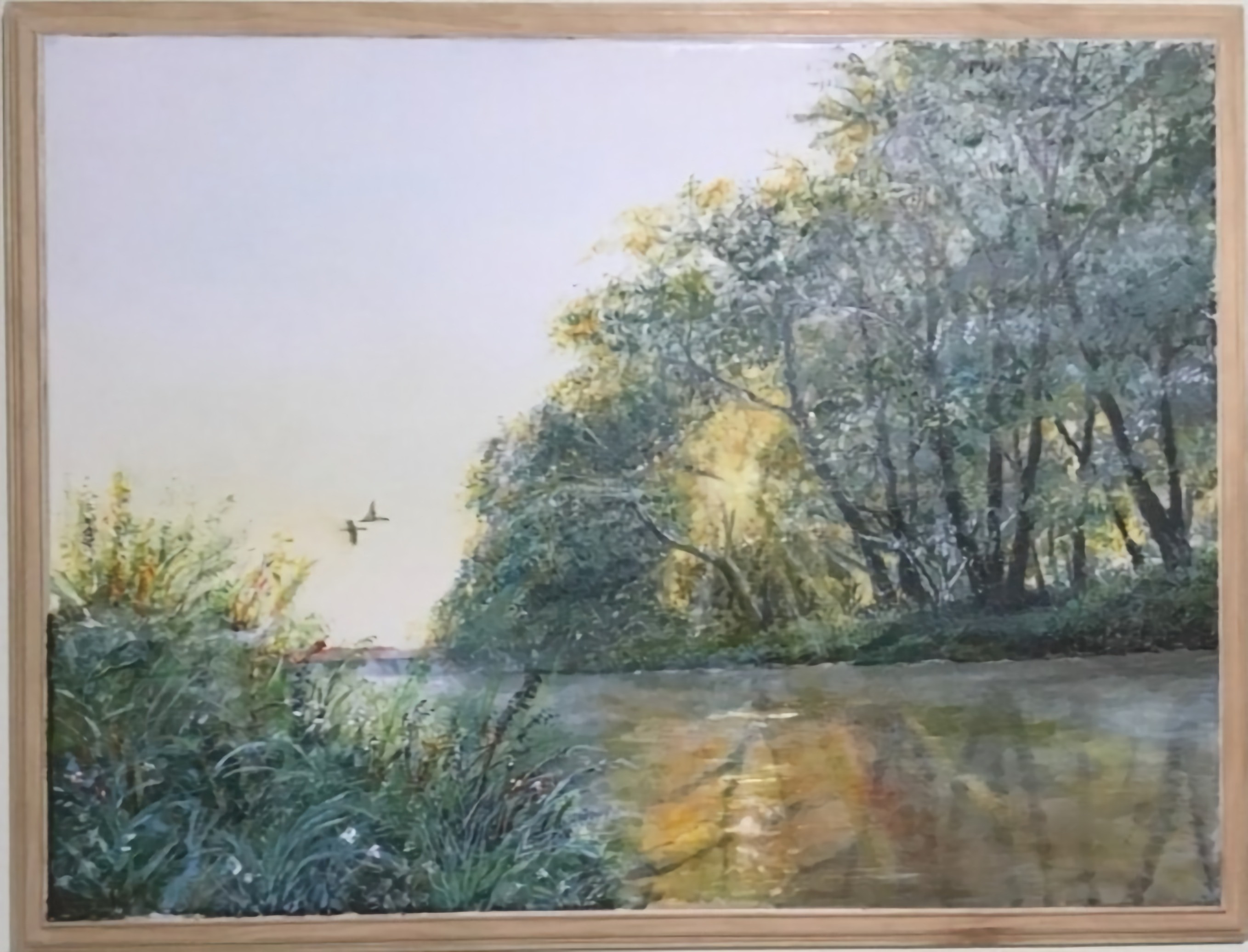 " Morning Glow By The River "