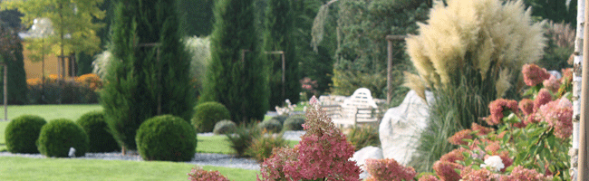 IMG_8339.Herbst.gif