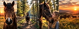 horse banner.png