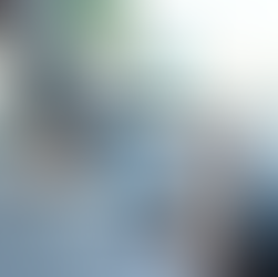 Discover Your Driving Persona: What Type of Singaporean Driver Are You?