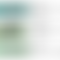 Green Vehicle Registration Plates for EVs and PHEVs in Singapore: What Drivers Need to Know