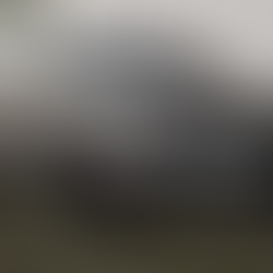 Top Family Cars in Singapore for 2024: The Ultimate Guide