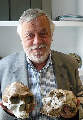 coppens_3.jpg