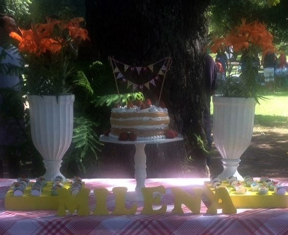 Pacote Picnic Completo