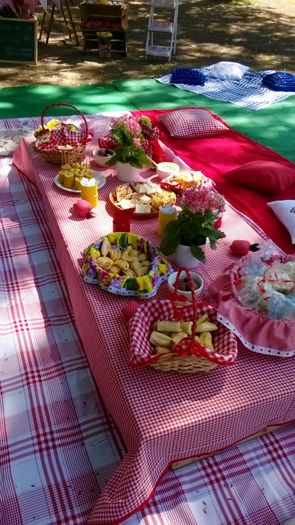 Miniatura: Pacote Picnic Completo