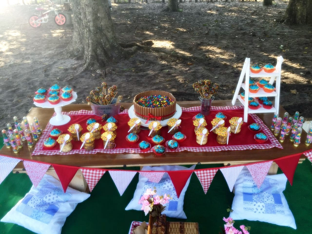 Decoração de picnic tradicional