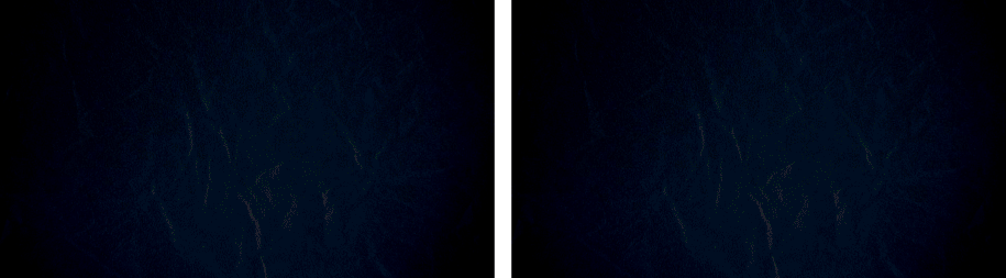 Template 5 D