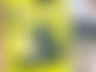 It Ain't Easy Being Purrfect!