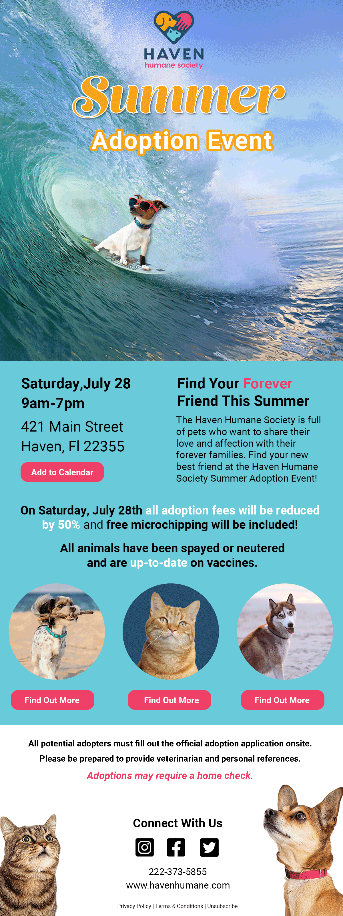 Interactive email campaign design.