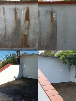 traitement anticryptogamique.