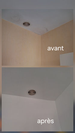 réparations suite dégât des eaux.