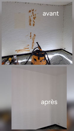 réparations enduit et mise en peintures.