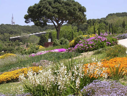 JardinBotanicoBarcelona.jpg
