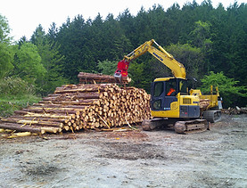 木材の搬出