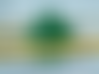 Відлуння хвороби: про ускладнення COVID-19