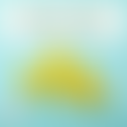 Як людині зі статусом внутрішньо переміщеної особи укласти декларацію з сімейним лікарем?