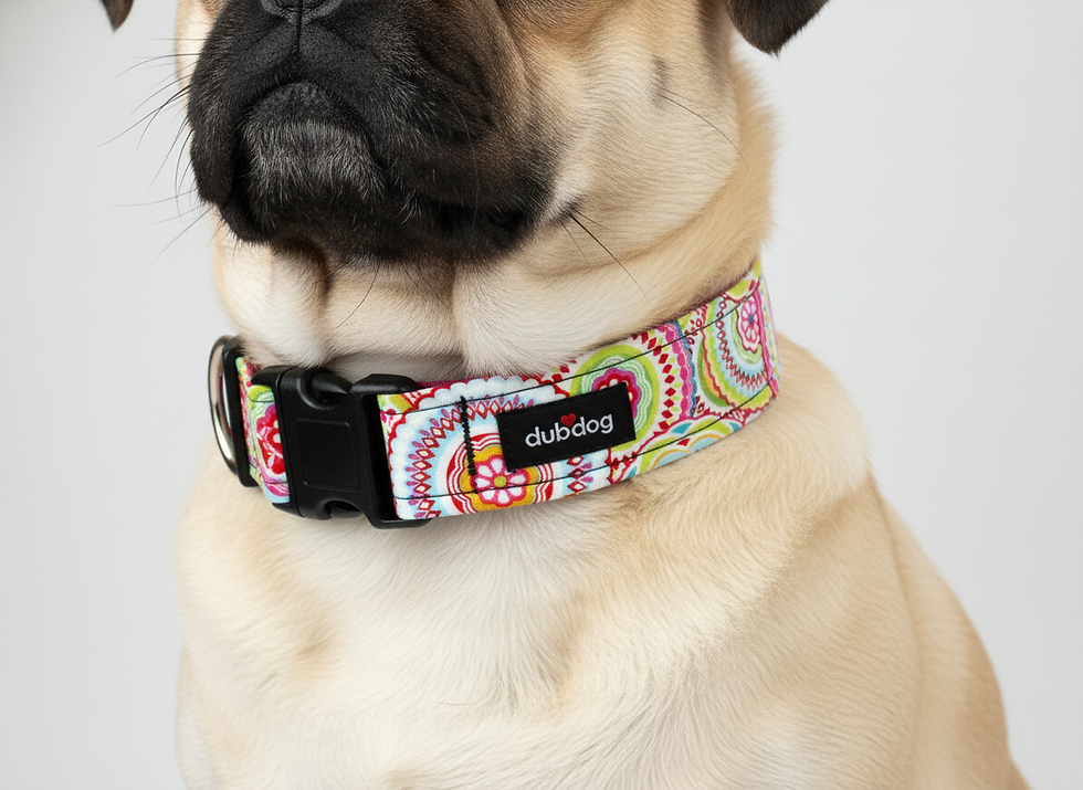 Thumbnail: Popsy l Collar