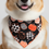 Thumbnail: Pumpkin Patch Bandana
