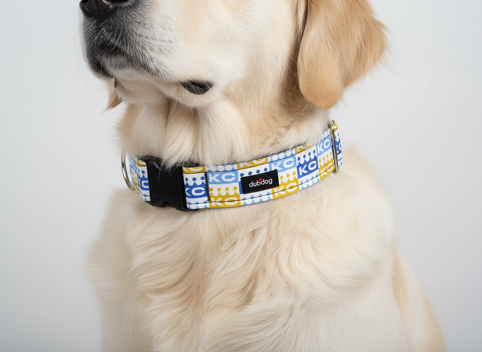 Thumbnail: Crown Town l Collar