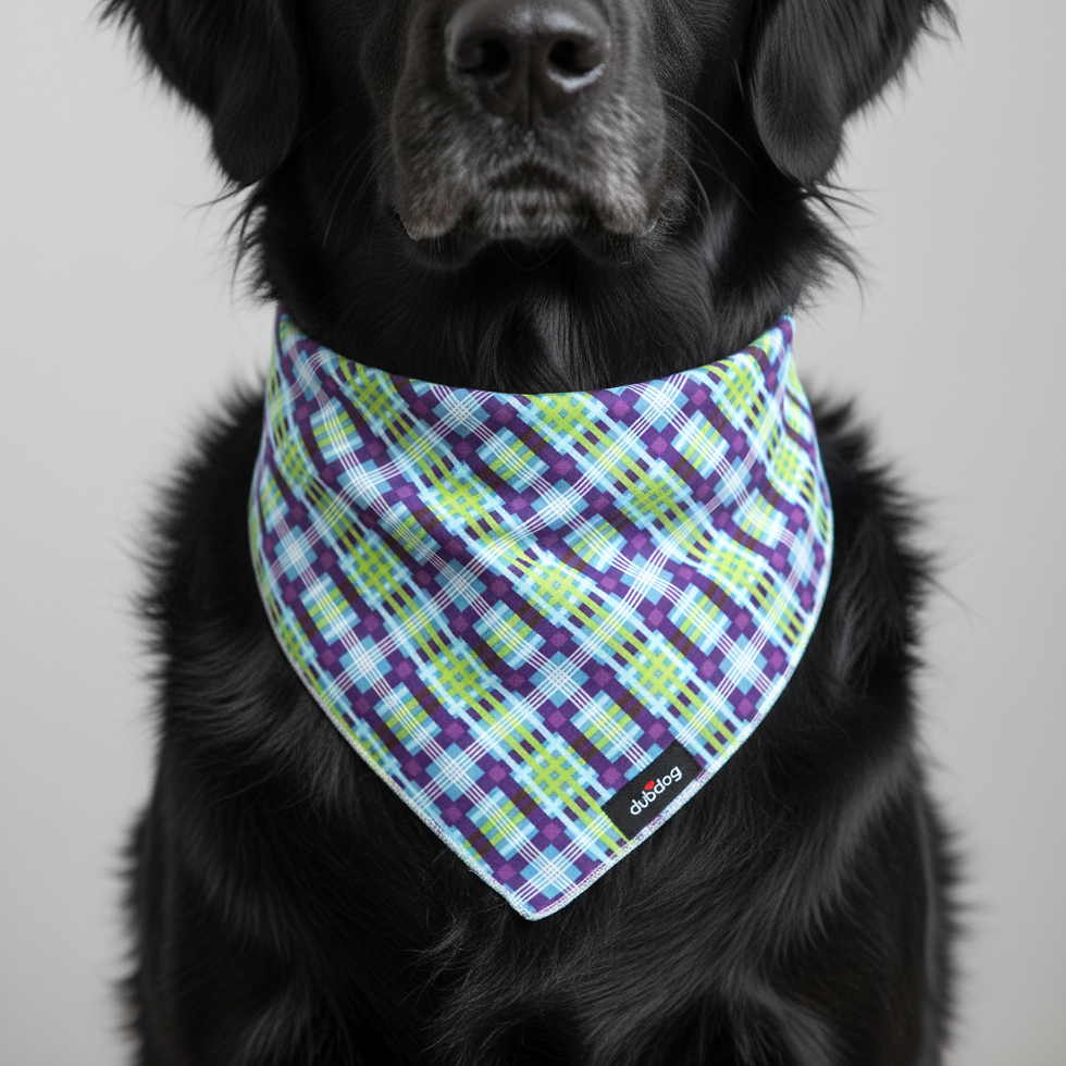 Thumbnail: Cyrus Bandana